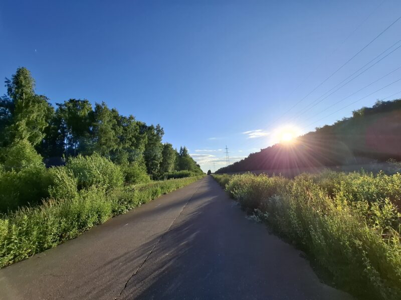 Дорожки в парке Лосиный остров, состояние на 21 июня 2026 по отзыву, фото 1. 